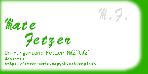 mate fetzer business card